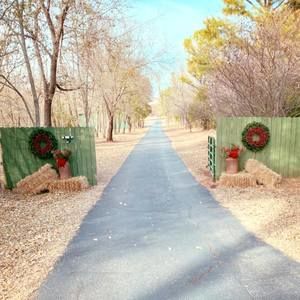 Meet your Posher, Mandy